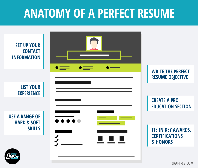 perfect resume template