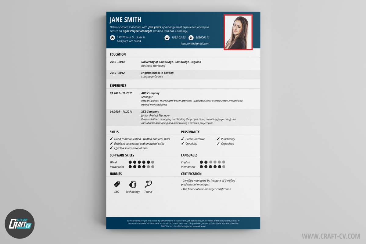 Resume Example Solid